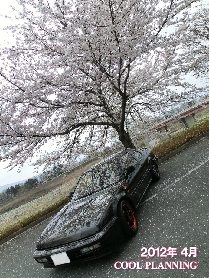 2012年4月 HONDA BA5 PRELUDE Si-TCV